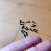 3mm siyah göz (1 çift)
